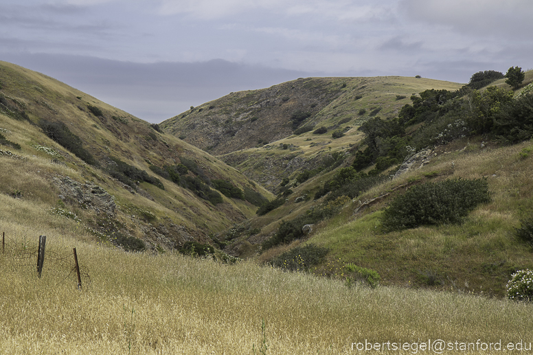 Channel Islands